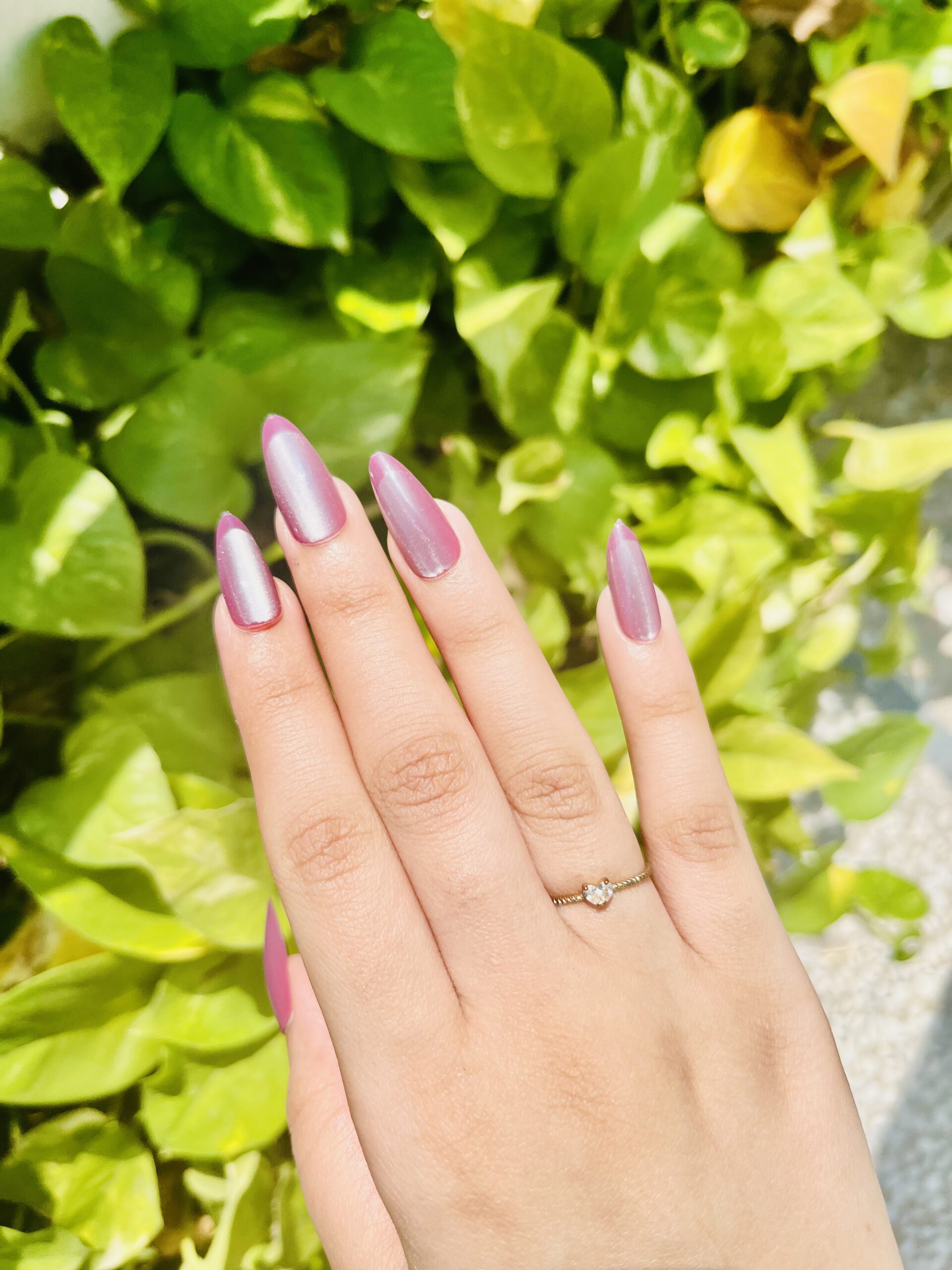 Mauve PInk Cat-Eye nails