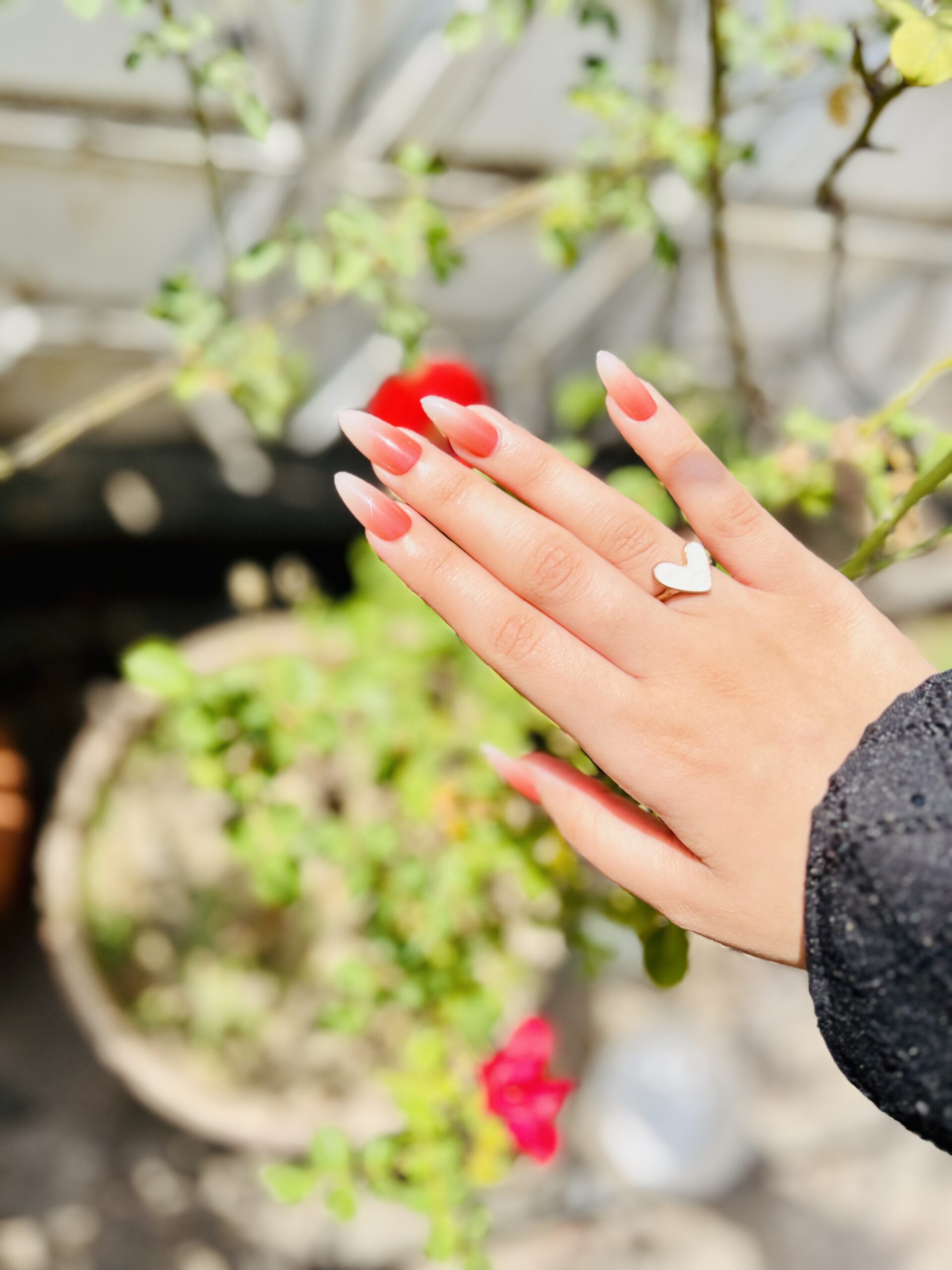 Pink Obmre Cat-Eye nails