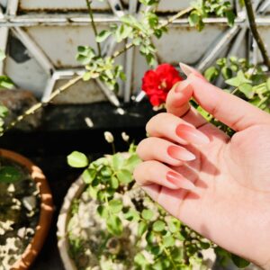 Pink Obmre Cat-Eye nails